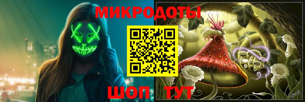 Псилоцибиновые грибы Psilocybe Фурманов